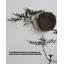 Chic Wabi - Faux arbre Sabi: un décor sans effort