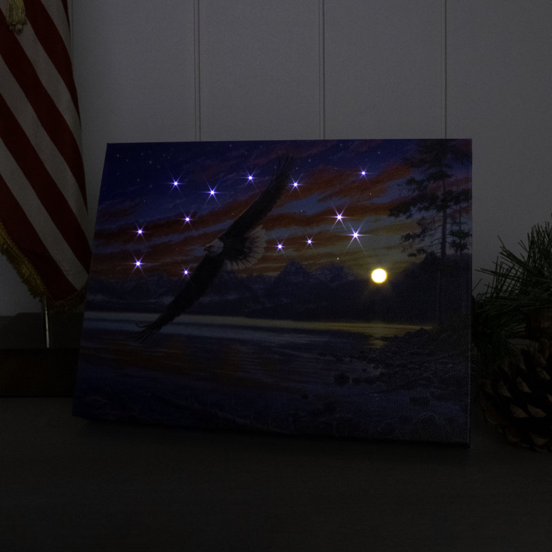 Toile de table lumineuse Freedom Flight 8X6