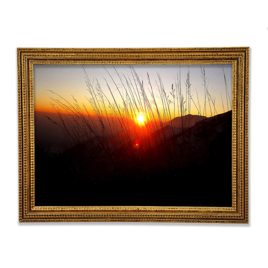 Gerahmtes Leinwandbild Dusk Through The Reeds