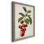 Antique Fruit II - Cadre photo unique, impression sur toile-1031960764-1031960765