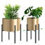 Donan Plant Stand-1885109217