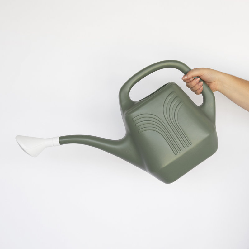 Basil Green 2 Gallon Plastic Watering Can with Ergonomic Handle