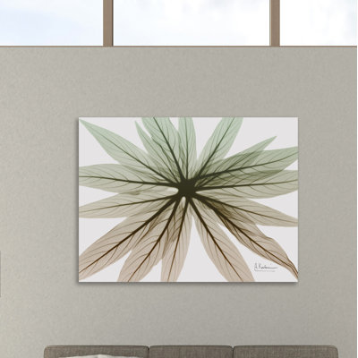 «Earthy Echium», toile tendue par Albert Koetsier