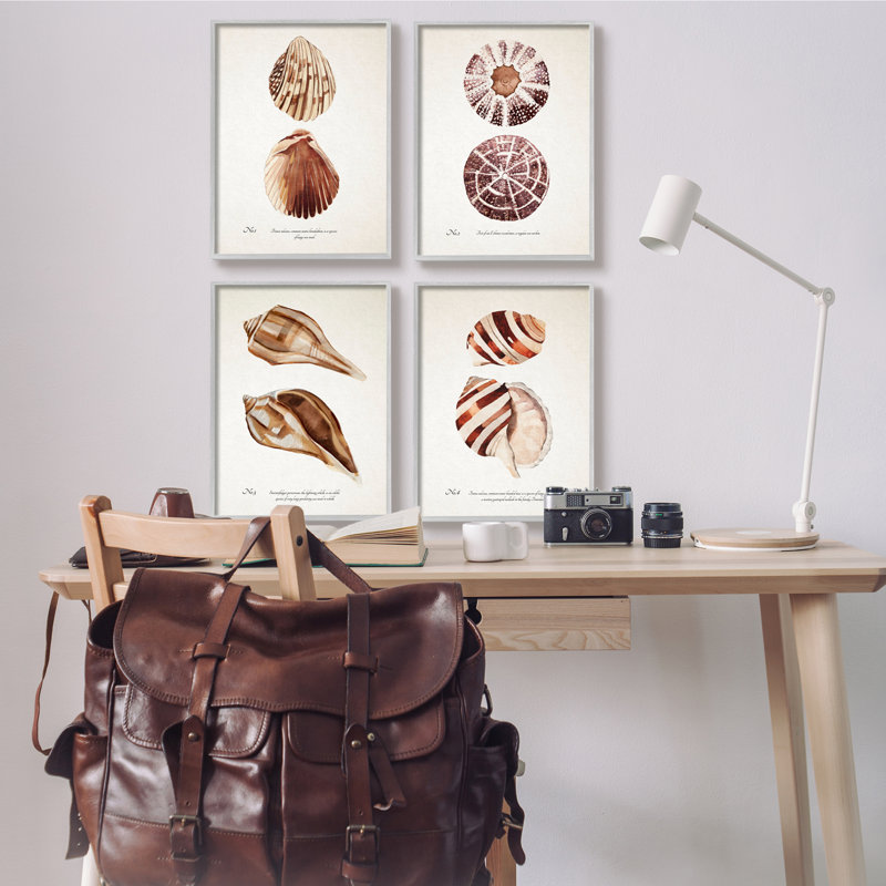 Elegant Beach Seashells Exquise Marine Life4pc Annie Warren, H 16 po x l 20 po, Estampe numérique Farmhouse