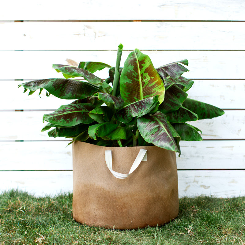 Jardinière en tissu Smart Pot®, 13,5 x 18 x 18, Naturel