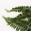 70cm Faux Plant
