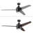 Eamon 52'' Ceiling Fan with LED Lights and Remote Control-1405284822