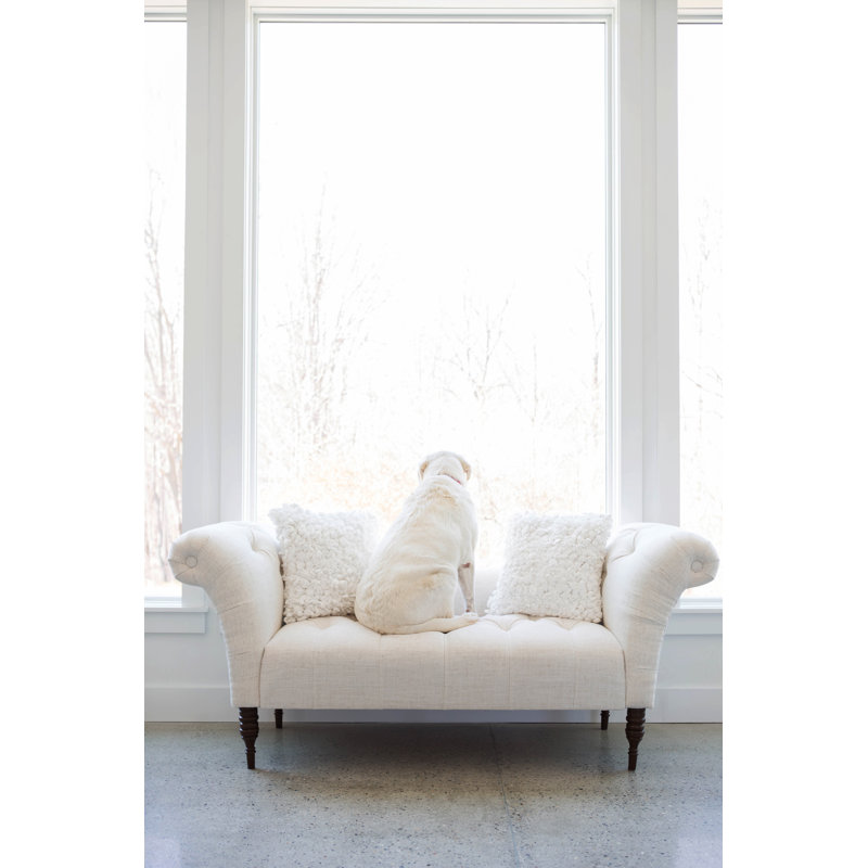White Dog - Photographie sur toile tendue, L 12 po x H 18 po