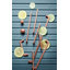Bouton rond-86746355-101798125-126098033