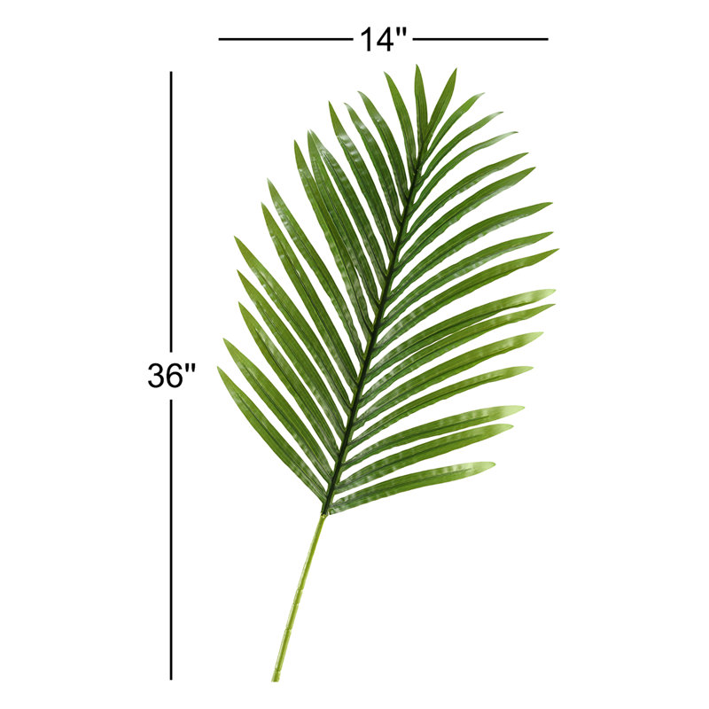 Grande tige de palmier à feuilles d’hawaï