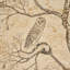 Papier peint L’attesa Nella Notte-112294259
