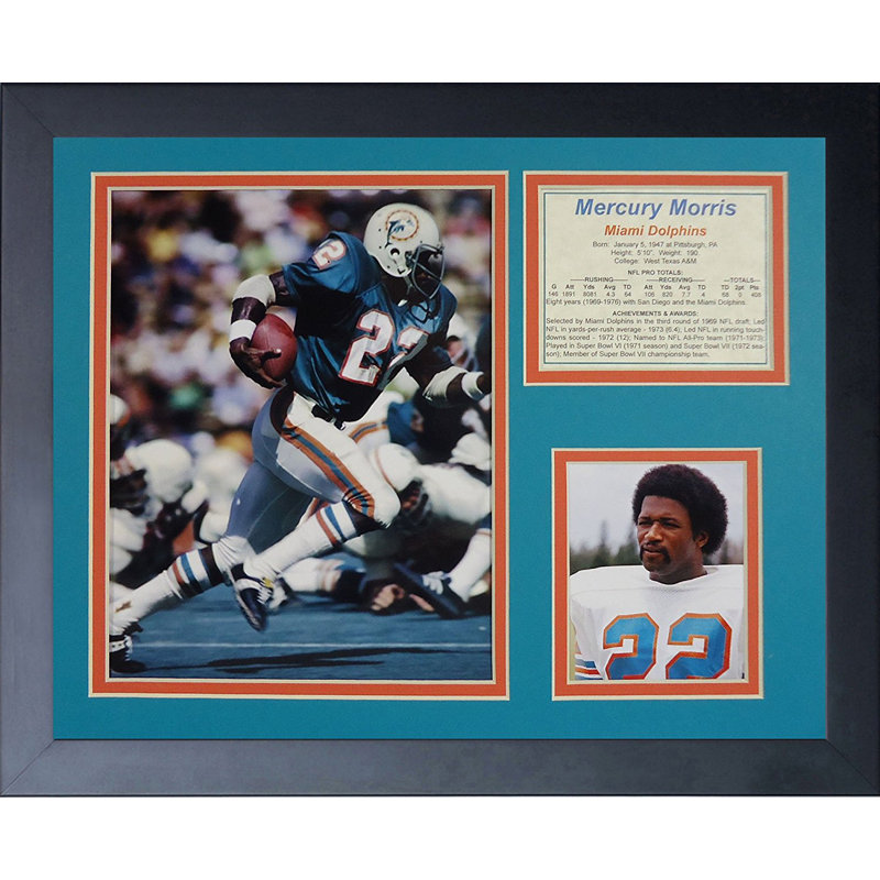 Single Picture Frame Memorabilia