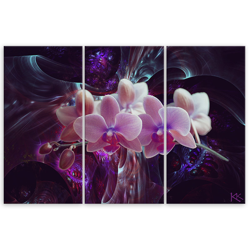 White Orchid On A Dark Background - 3 Piece Wrapped Canvas Print Set, 100cm H x 150cm W