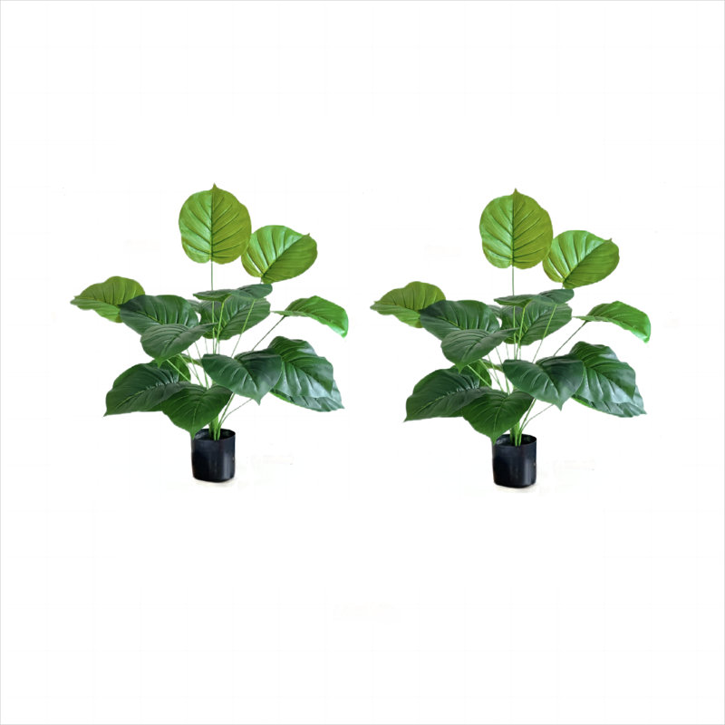 31,5 "Faux arbre Devil's Ivy Scindapsus Aureus en pot noir, 2