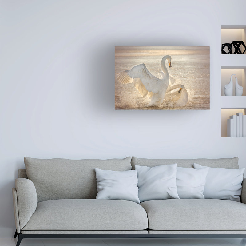 Art sur toile, Bataille des cygnes bologniques, gratuite, H 12 po x l 19 po
