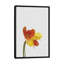 « tulipe », impression sur toile-29682707-74381928-74381929