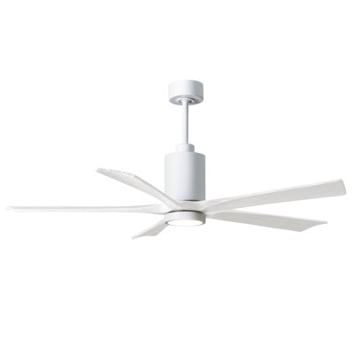Patricia LED Downrod Ceiling Fan