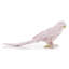 Animals Figurines & Sculptures