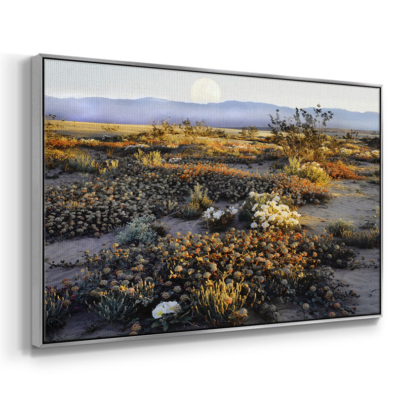 Anza Borrego, désert encadré sur toile, H 25 po x l 37 po x P 2 po, Encadrement argenté
