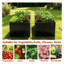 Jardin surélevé en métal galvanisé-256453004