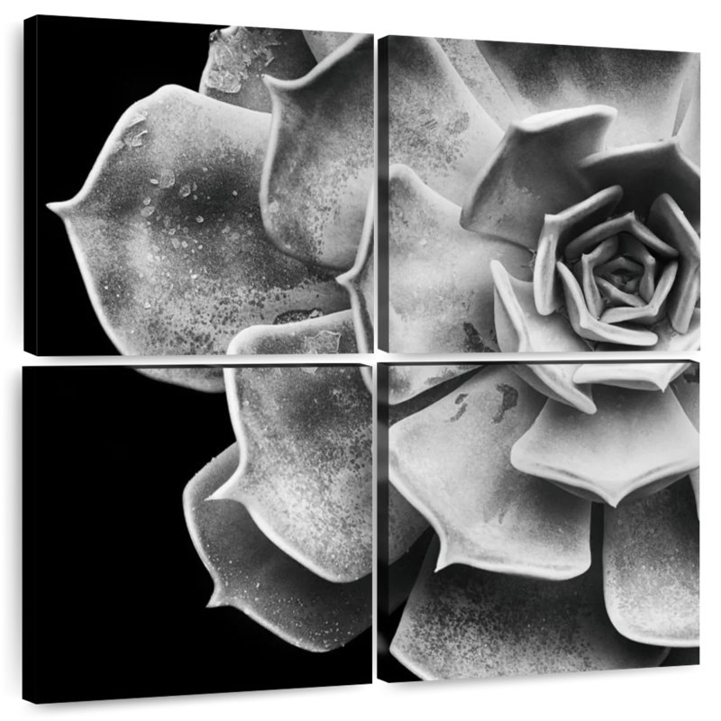 Harnek Echeveria, 32" H x 32" W