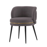 Levenson Velvet Side Chair Dining Chair