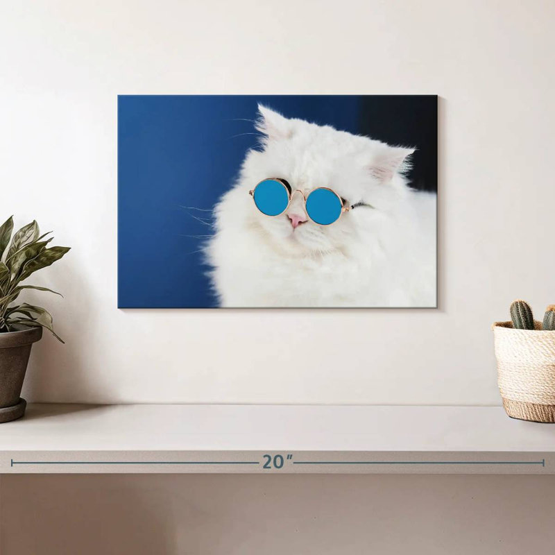 Brampt Cat Glasses, 8" H x 12" W