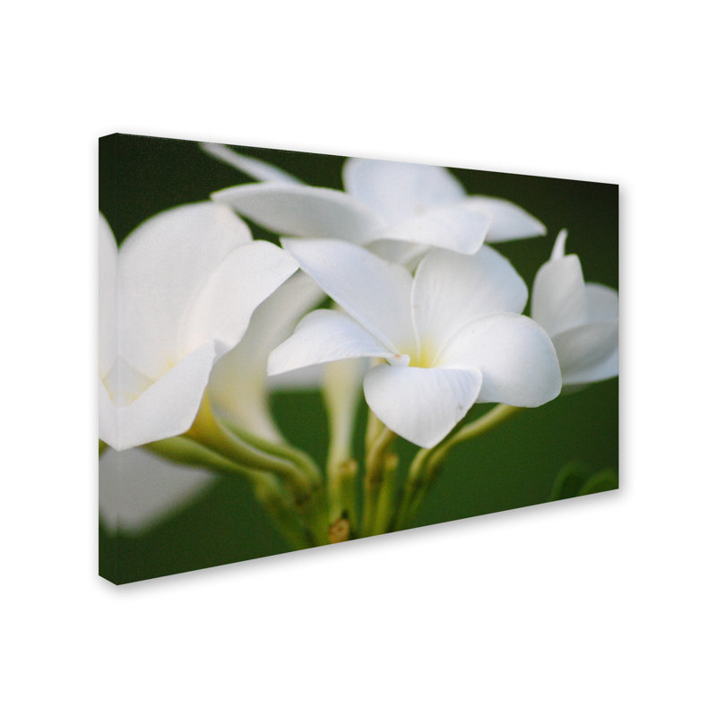 «Image Perfect», reproduction de photo sur toile tendue, H 22 po x l 32 po x P 2 po