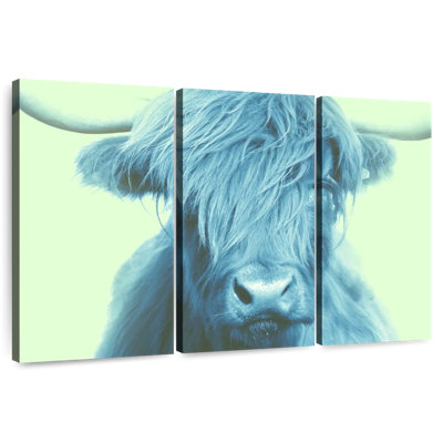 Brampt Highland Cow On Green