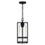 Mini-luminaire suspendu 1 lumière noir terre