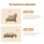 Canapé-lit causeuse en similicuir beige-129743338