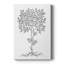 B&W Plant Spechantillon IV - galerie sur mesure Cavas-707121321