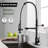 Brass Commercial Pull-Down Sprayer Kitchen Faucet 2 Handle With Locking Buckle And Soap Dispenser-103828757