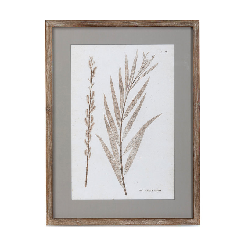 Framed Botanical Print