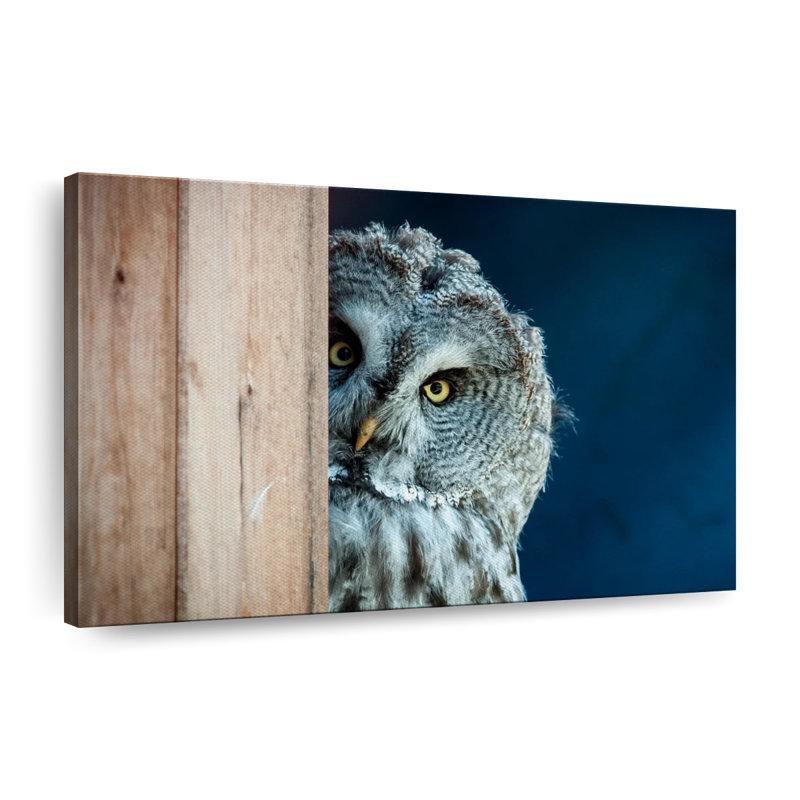 " Peeking Owl ", 8" H x 12" W x 1" D
