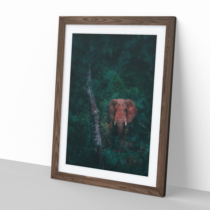Elephant Vol.8 - Picture Frame Graphic Art, Walnut Framed, 48cm H x 36cm W x 2cm D