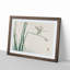 Blue Dragonfly by Kono Bairei - Picture Frame Painting Print on MDF-55686971-55686972