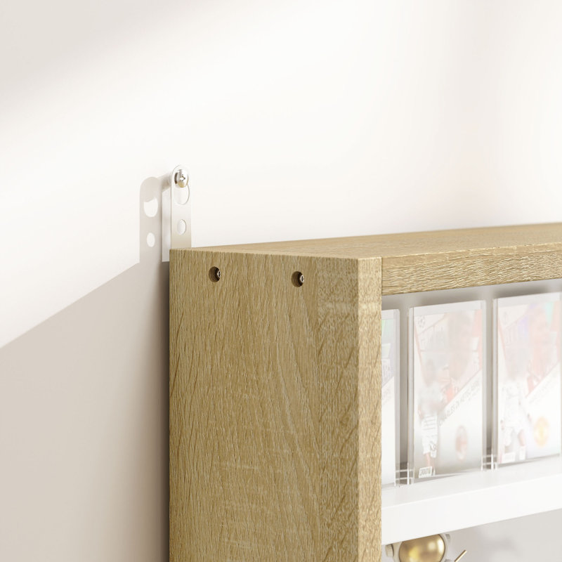 Display Cabinet