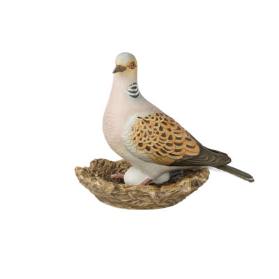 Bird Turtle Dove