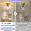 Glass Semi Flush Mount-809725131