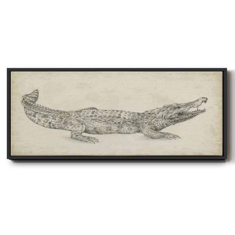 Croquis de crocodile - toile encadrée