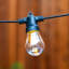 Guirlande solaire d'extérieur à DEL de 48 pi avec 15 ampoules Edison S14 blanches et résistantes aux intempéries Ambience Pro-139815129