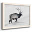 Lone Bull-96291321-96291315