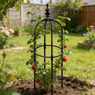 Treillis Obélisque pour plantes grimpantes Black Garden