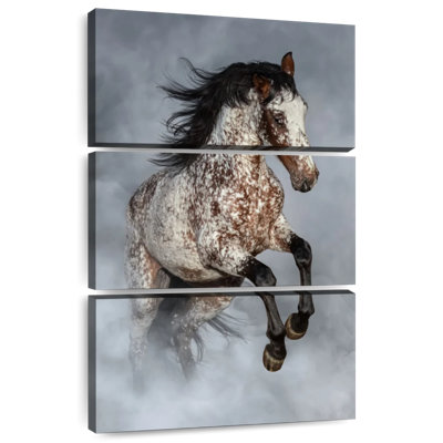 Brampt brumeux Appaloosa