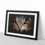 Great Horned Owl - Framed Print-56863010-56863016