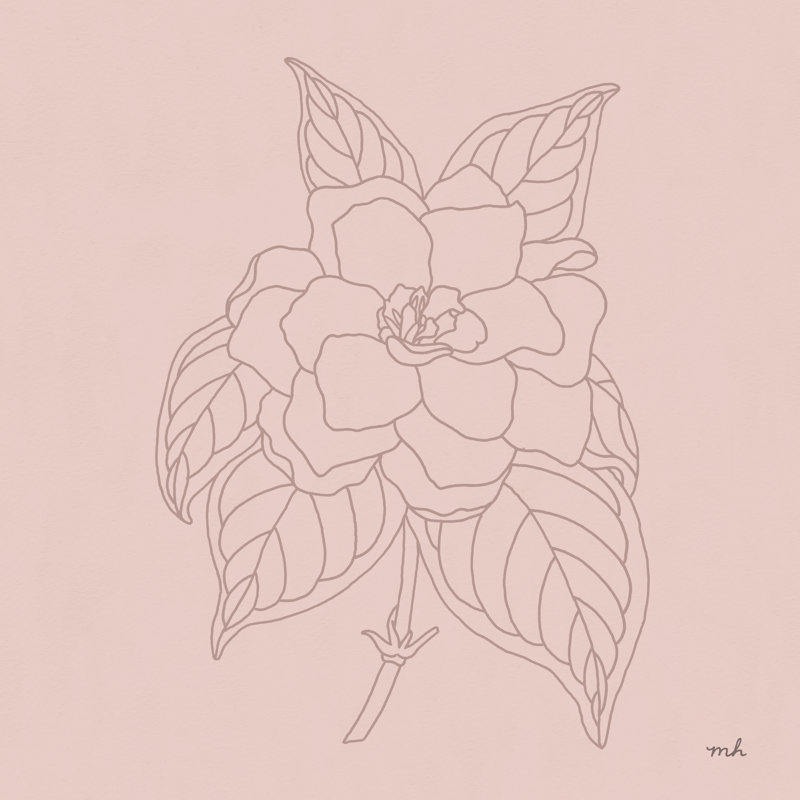 Gardenia Line - Wrapped Canvas Print, 91cm H x 91cm W