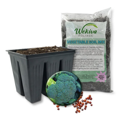 Asteroid Broccoli Seed Starter Kit - Broccoli Seeds with Tray Line and Half Quart Vegetable Soil Mix - Grow Your Own Vegetables