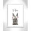 Le lapin est courage-48187586-48187581