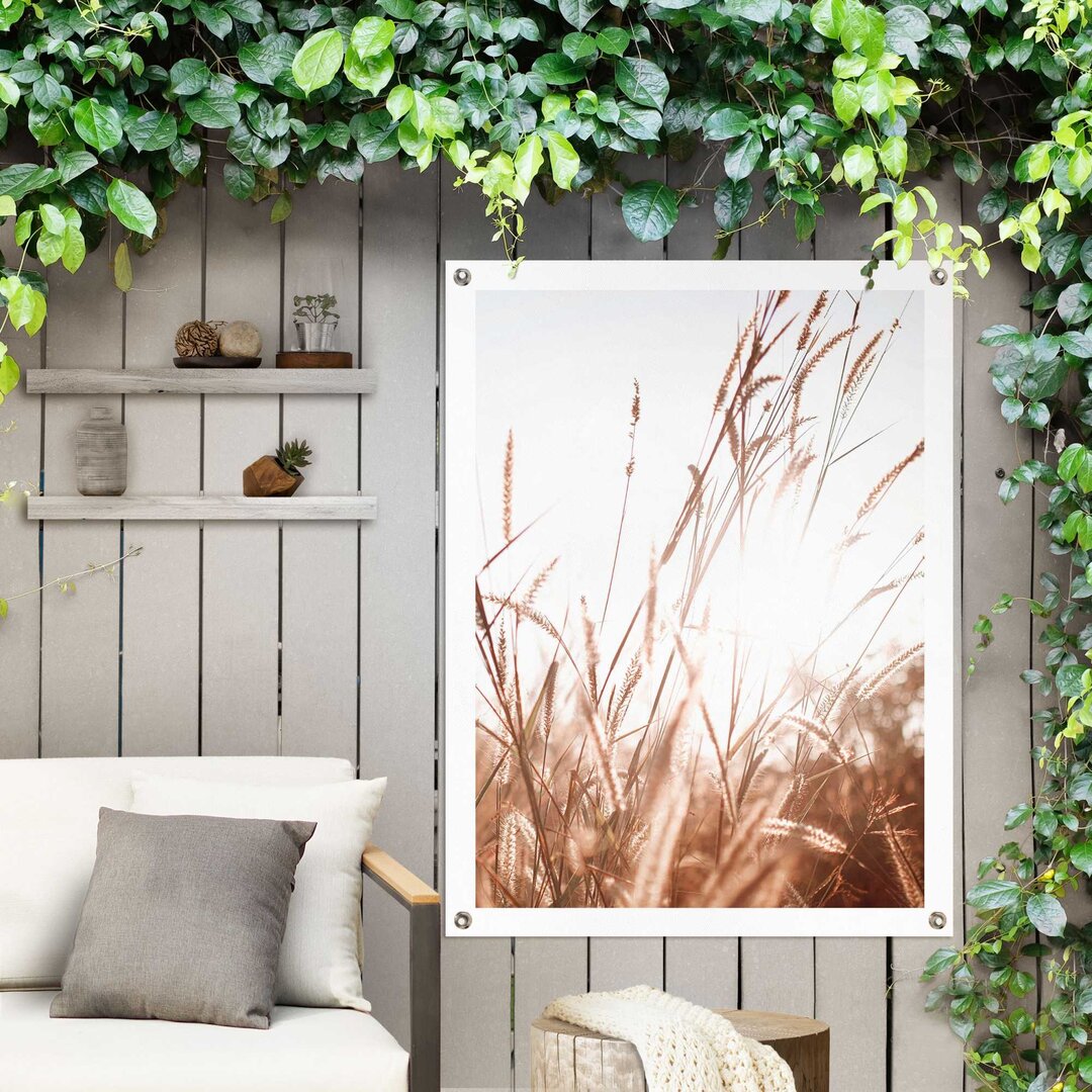 Gartenposter Sommer Pflanzen - Natur - Sonne